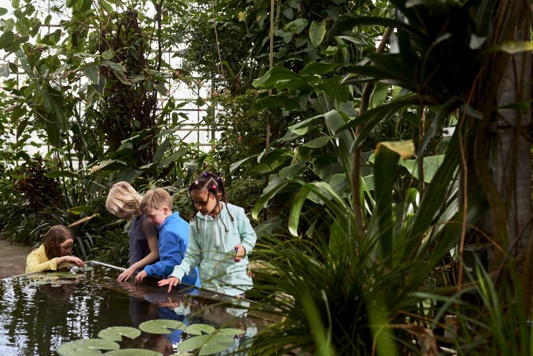 Bezoek de Botanische Tuinen