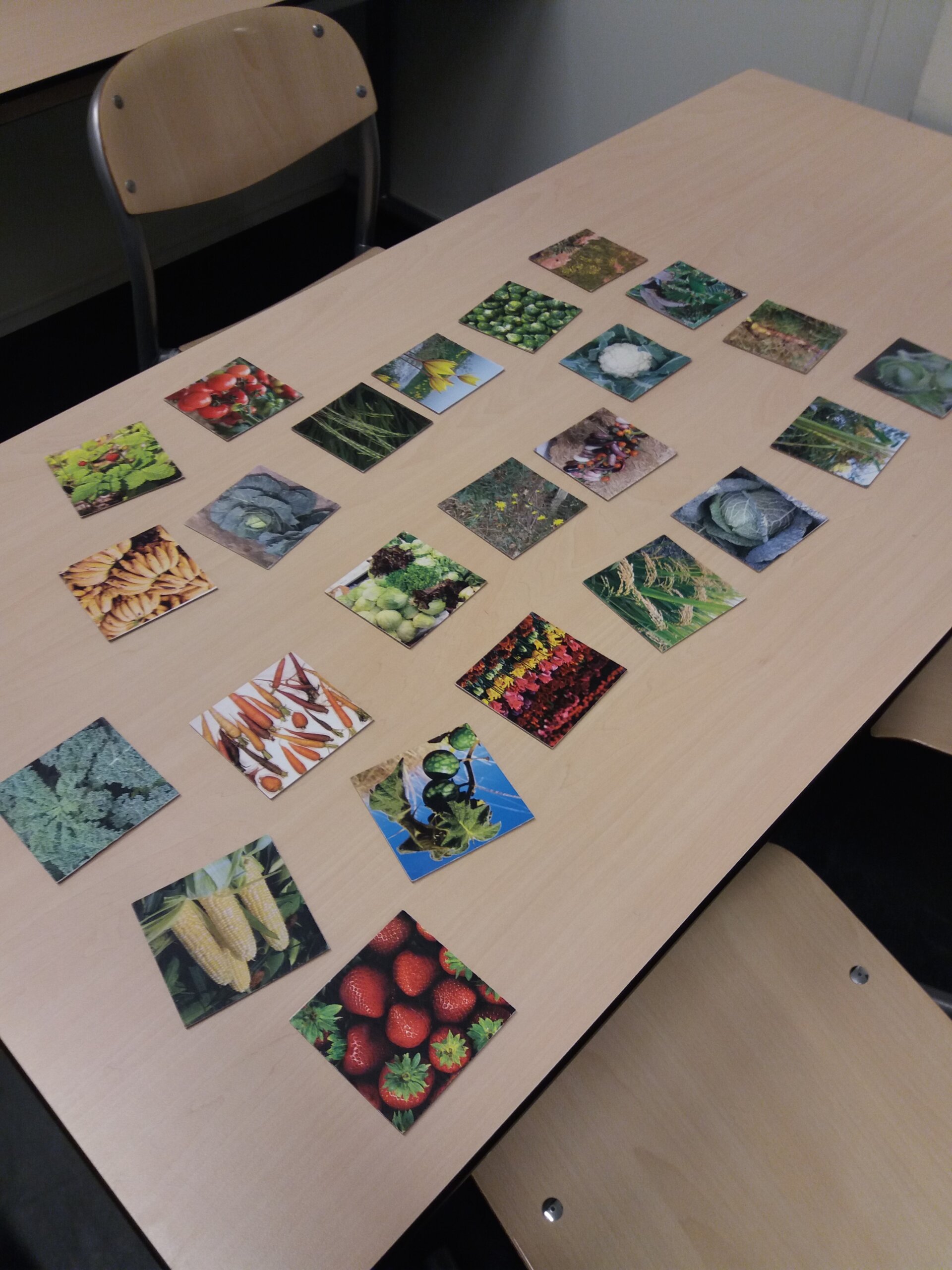 DNA isoleren uit fruit
