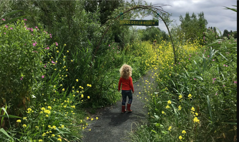 Rondleiding Anna’s Tuin en Ruigte