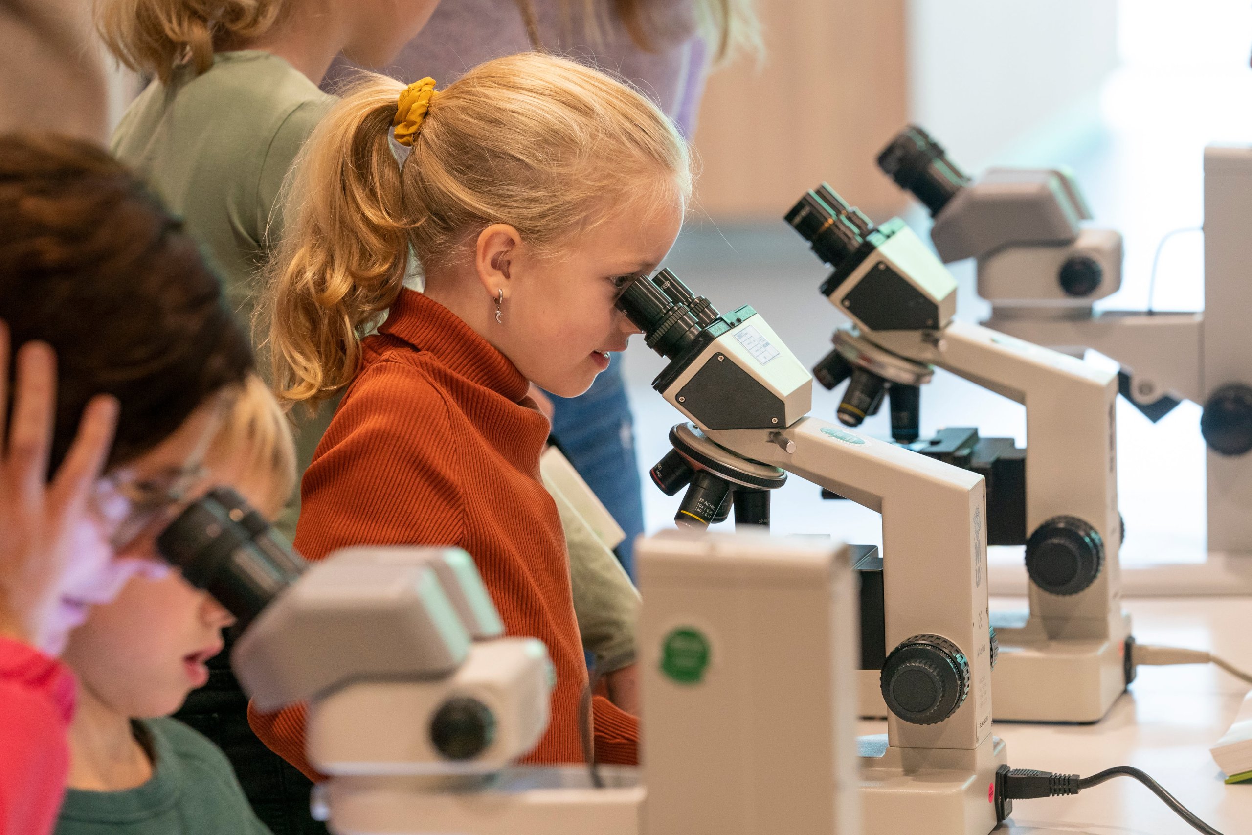 Leer alles over mini-orgaantjes