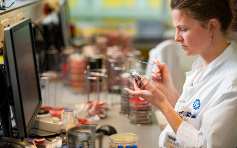 Ontdek de wondere wereld van bacteriën