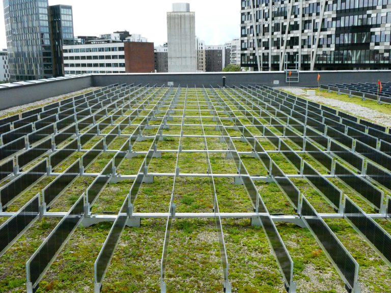 Groendak of zonnepanelen? Kiezen hoeft niet meer!