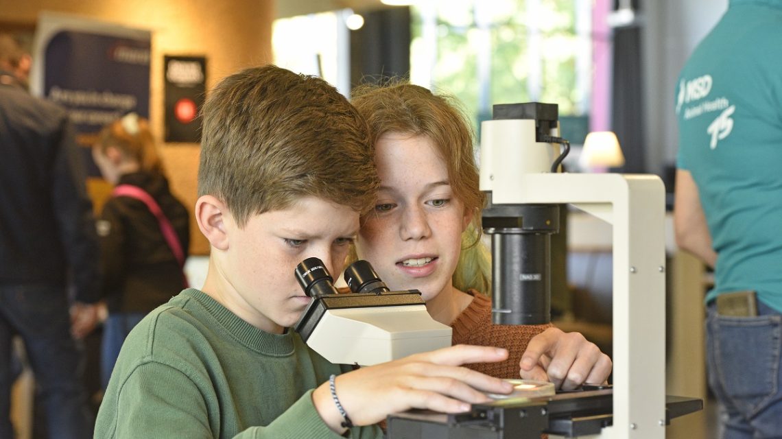 Experimenteren en leren