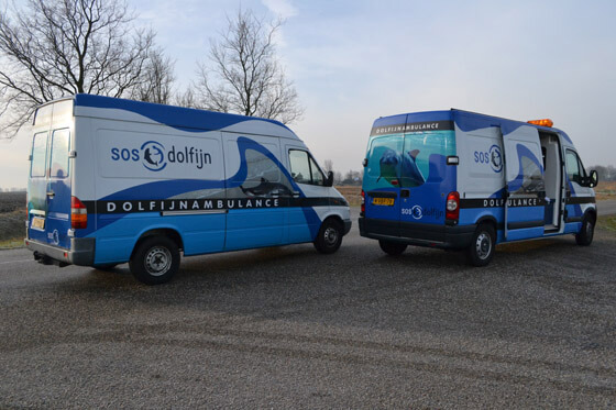 Kijkje in de dolfijnambulance