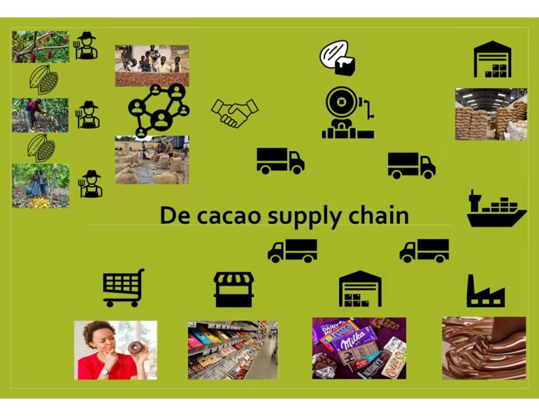 Weet jij waar jouw chocoladereep vandaan komt?