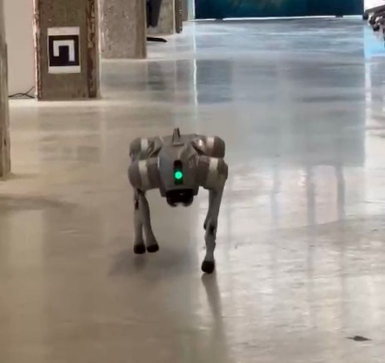 Bouw en Programmeer Je Eigen Robot!