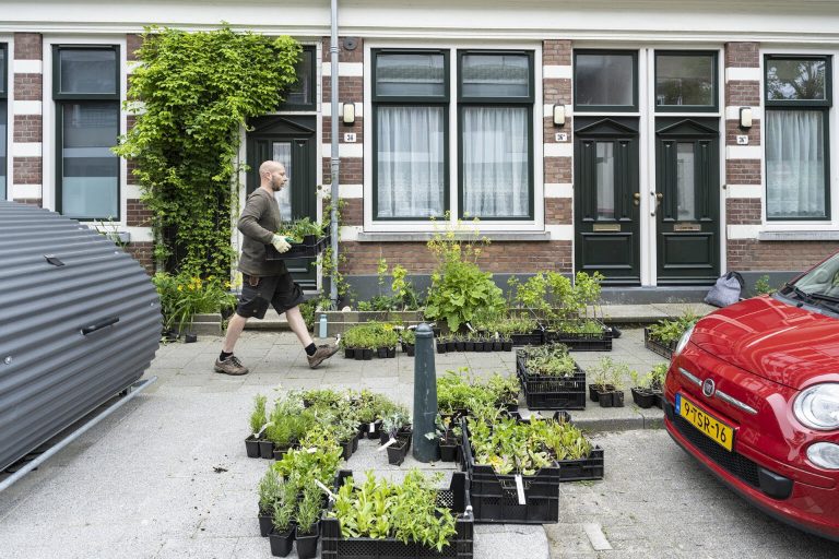 Maak de stad groener!