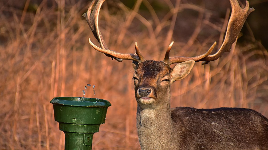 Ontdek drinkwater in de Waterleidingduinen