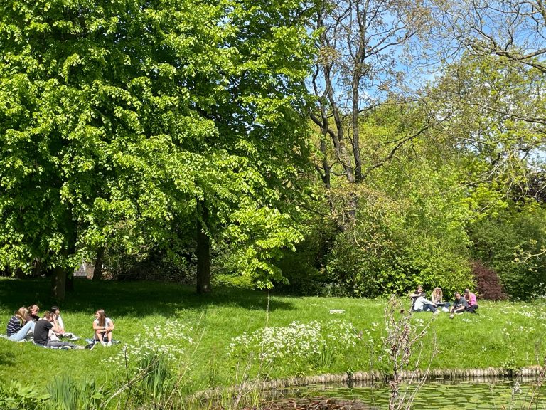 Once upon a forest: lecture about Dutch woods