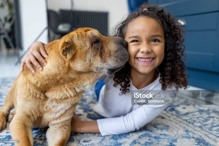 Begrijp jij je hond?