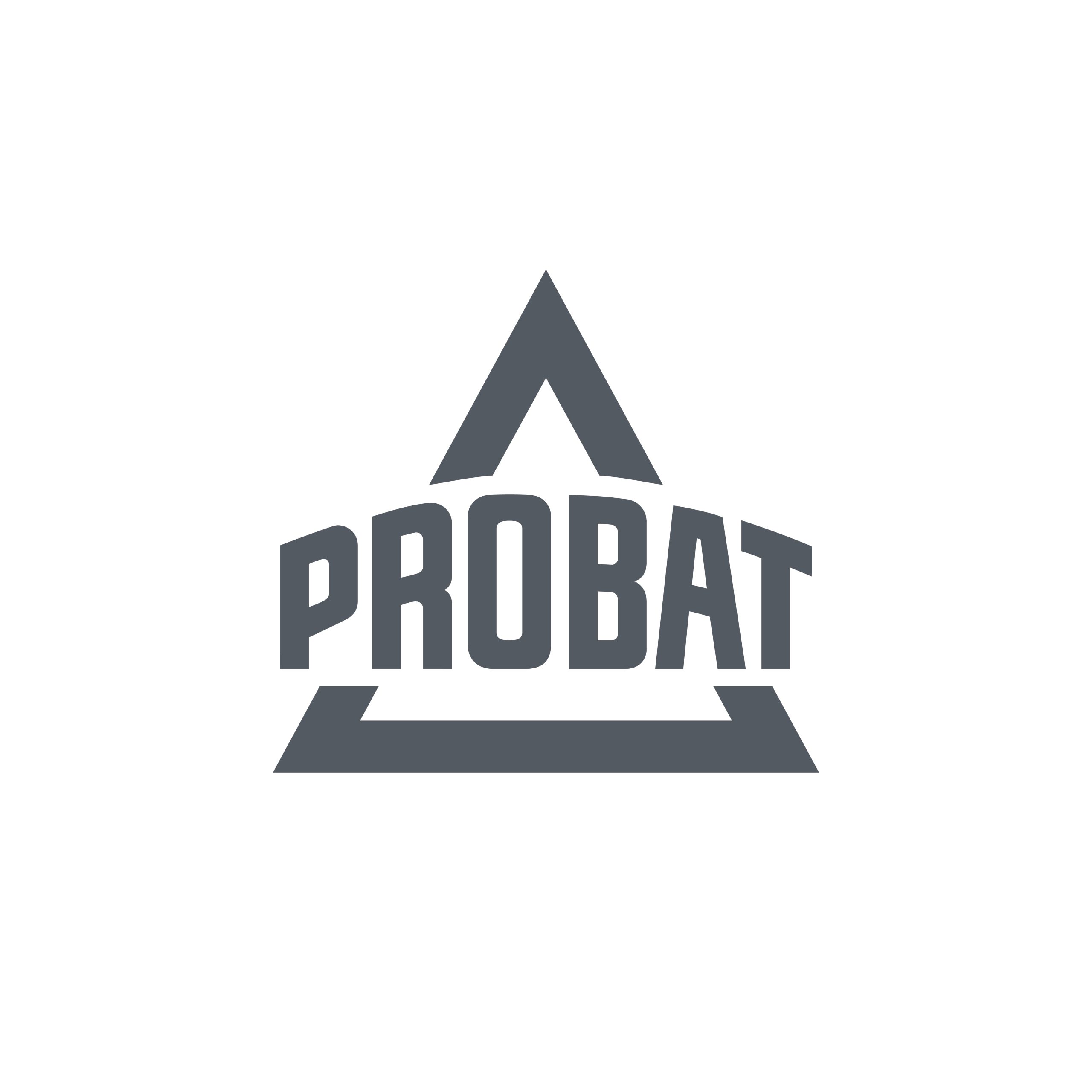 Probat BV