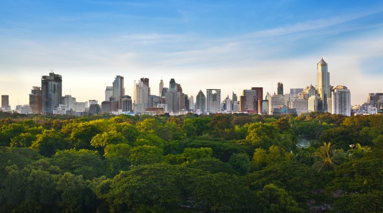 Wat doet groen in de stad met onze gezondheid?