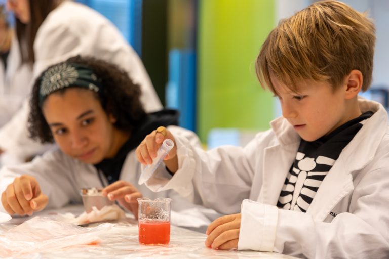 Haal DNA uit aardbeien en bananen