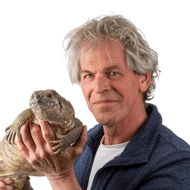 Beesten van dichtbij