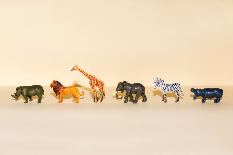 Spreekuur voor wilde dieren