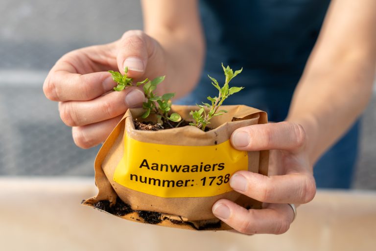 Onderzoek Aanwaaiers!