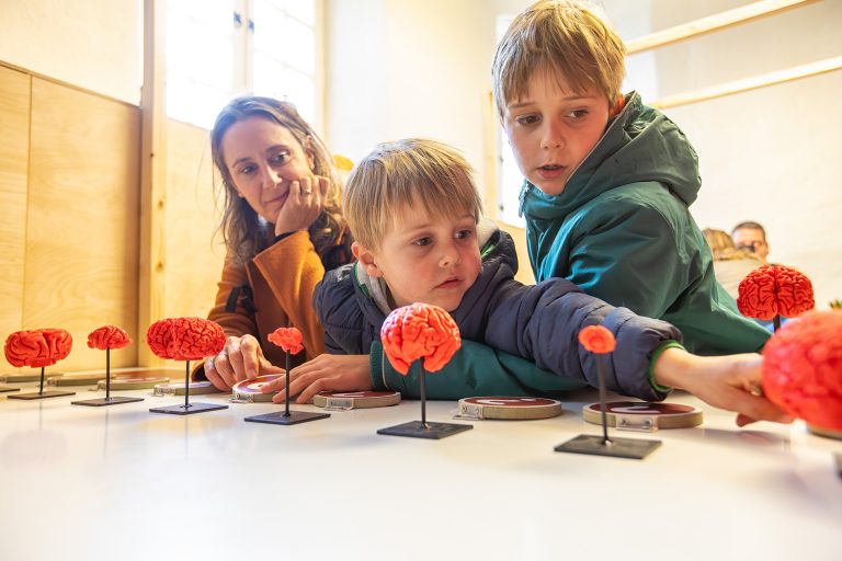 De wereld van het brein bij het Donders Institute