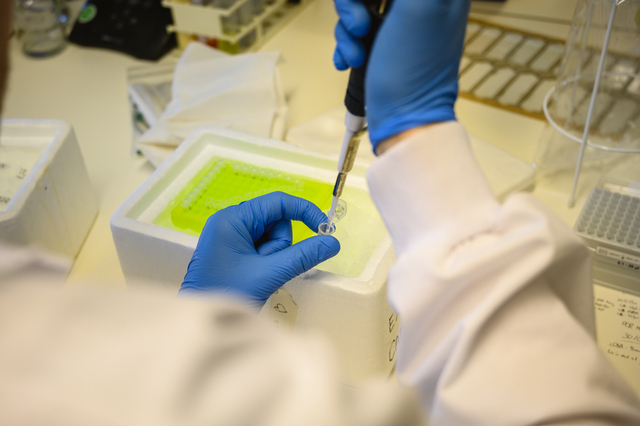 Kun jij een foutje in DNA repareren?