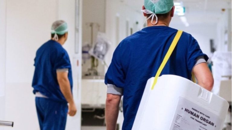 Hoe leeft een donororgaan buiten je lichaam?
