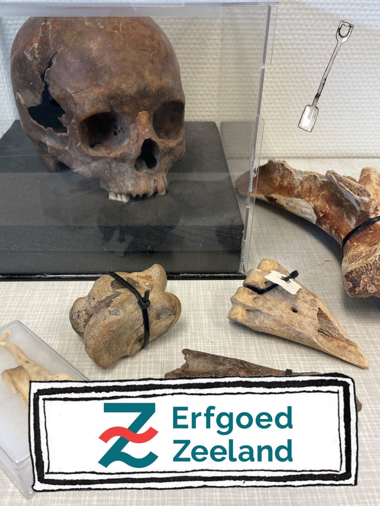 Ontdek archeologie: schedels, botten en scherven