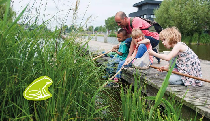 Wat leeft er onderwater?