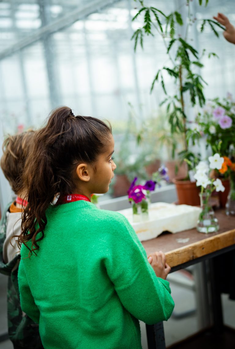 Doe mee aan de rondleiding  door het kassencomplex
