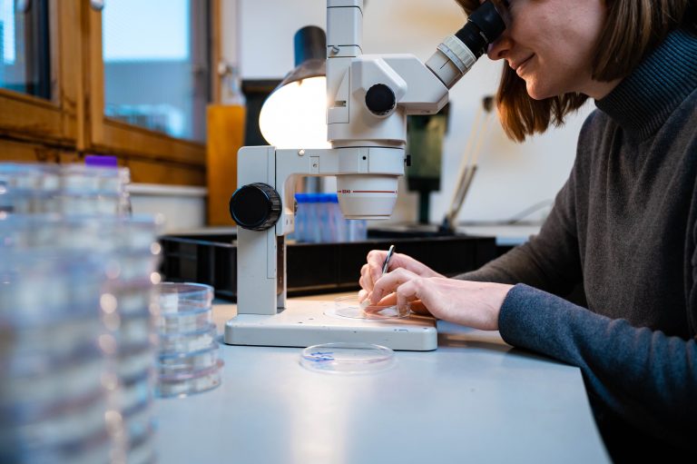 NIOO Open Dag: Insectenmemory onder de microscoop